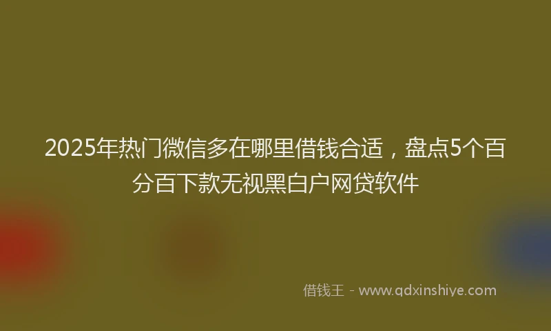 2025年热门微信多在哪里借钱合适，盘点5个百分百下款无视黑白户网贷软件