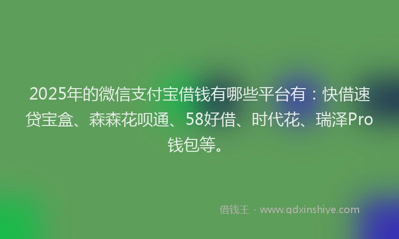 2025年的微信支付宝借钱有哪些平台有：快借速贷宝盒、森森花呗通、58好借、时代花、瑞泽Pro钱包等。