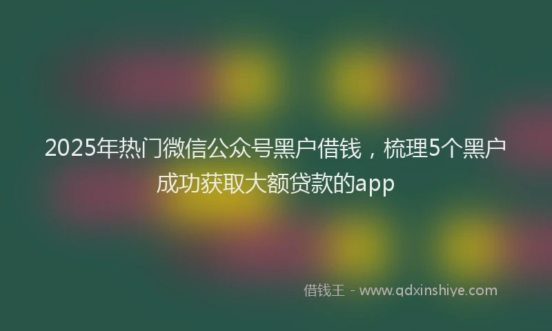 2025年热门微信公众号黑户借钱，梳理5个黑户成功获取大额贷款的app