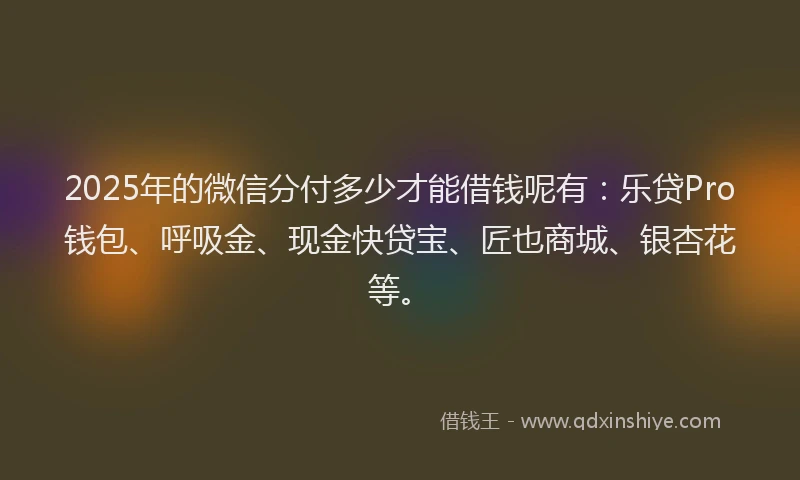 2025年的微信分付多少才能借钱呢有：乐贷Pro钱包、呼吸金、现金快贷宝、匠也商城、银杏花等。