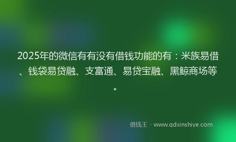 2025年的微信有有没有借钱功能的有：米族易借、钱袋易贷融、支富通、易贷宝融、黑鲸商场等。