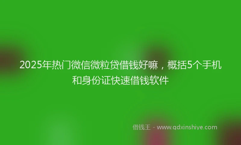 2025年热门微信微粒贷借钱好嘛，概括5个手机和身份证快速借钱软件