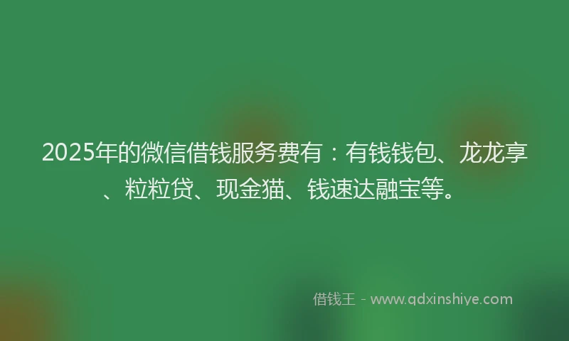 2025年的微信借钱服务费有：有钱钱包、龙龙享、粒粒贷、现金猫、钱速达融宝等。