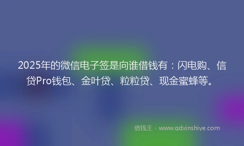 2025年的微信电子签是向谁借钱有：闪电购、信贷Pro钱包、金叶贷、粒粒贷、现金蜜蜂等。