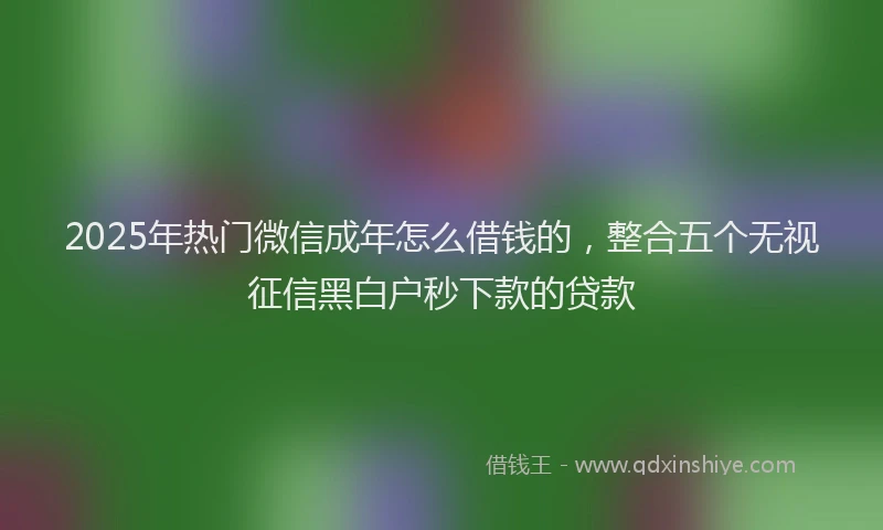 2025年热门微信成年怎么借钱的，整合五个无视征信黑白户秒下款的贷款