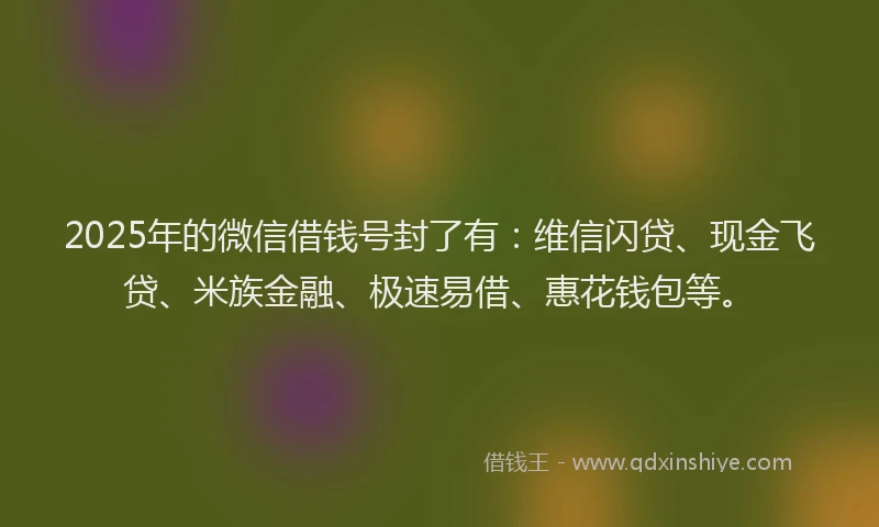 2025年的微信借钱号封了有：维信闪贷、现金飞贷、米族金融、极速易借、惠花钱包等。