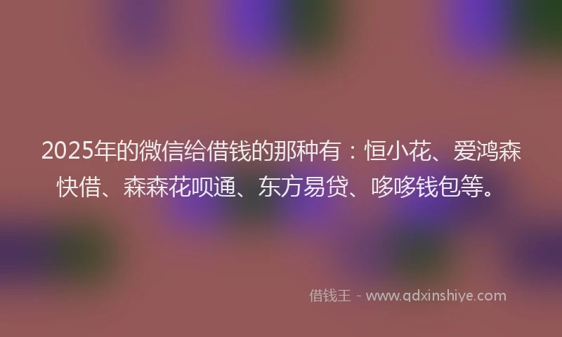 2025年的微信给借钱的那种有：恒小花、爱鸿森快借、森森花呗通、东方易贷、哆哆钱包等。