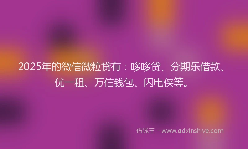 2025年的微信微粒贷有：哆哆贷、分期乐借款、优一租、万信钱包、闪电侠等。