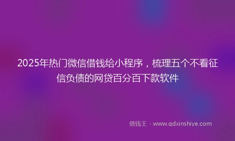 2025年热门微信借钱给小程序，梳理五个不看征信负债的网贷百分百下款软件