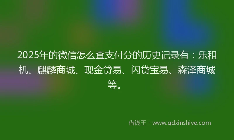 2025年的微信怎么查支付分的历史记录有：乐租机、麒麟商城、现金贷易、闪贷宝易、森泽商城等。