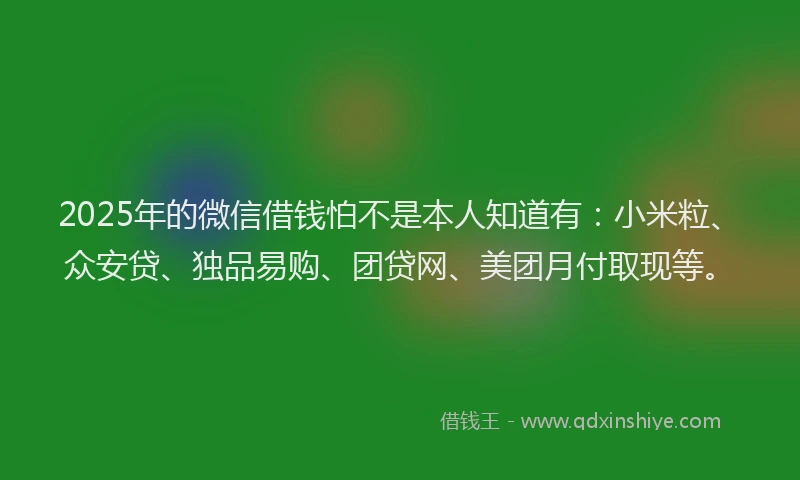 2025年的微信借钱怕不是本人知道有：小米粒、众安贷、独品易购、团贷网、美团月付取现等。