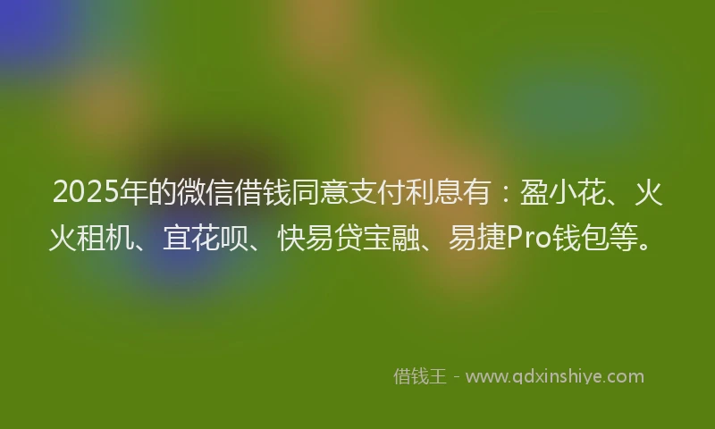 2025年的微信借钱同意支付利息有：盈小花、火火租机、宜花呗、快易贷宝融、易捷Pro钱包等。
