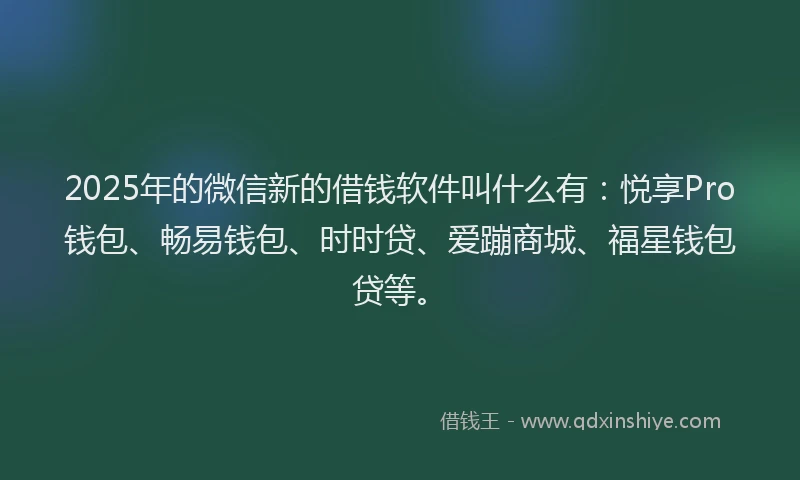 2025年的微信新的借钱软件叫什么有：悦享Pro钱包、畅易钱包、时时贷、爱蹦商城、福星钱包贷等。