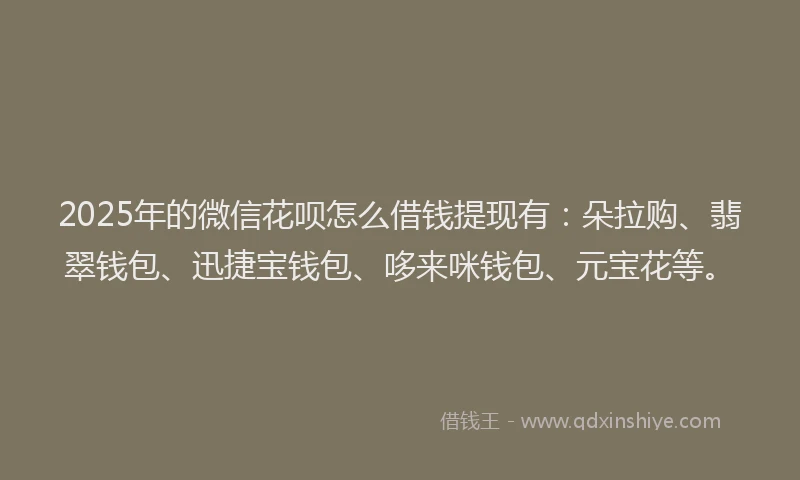 2025年的微信花呗怎么借钱提现有：朵拉购、翡翠钱包、迅捷宝钱包、哆来咪钱包、元宝花等。