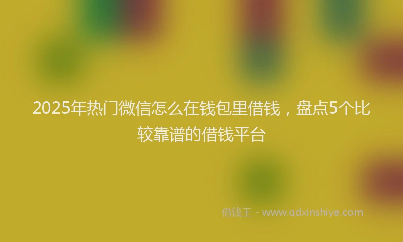 2025年热门微信怎么在钱包里借钱，盘点5个比较靠谱的借钱平台