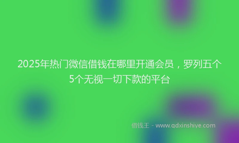 2025年热门微信借钱在哪里开通会员，罗列五个5个无视一切下款的平台