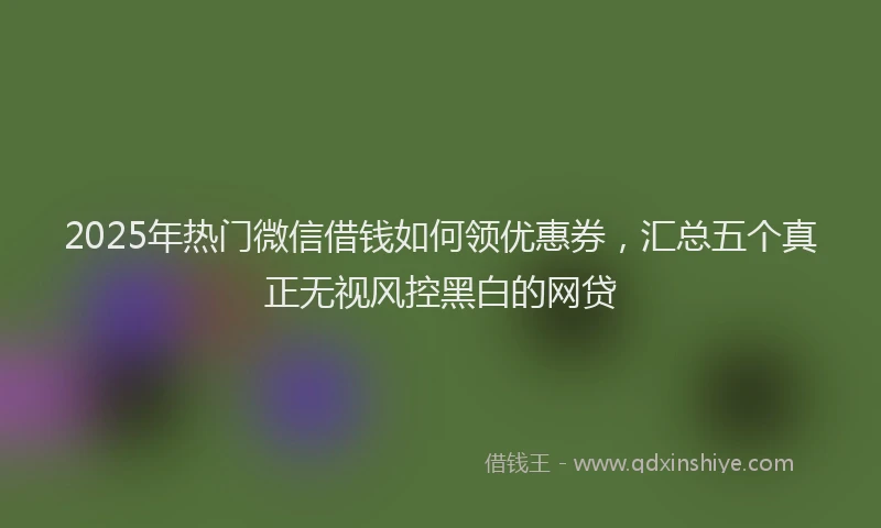 2025年热门微信借钱如何领优惠券，汇总五个真正无视风控黑白的网贷
