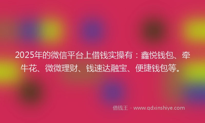 2025年的微信平台上借钱实操有：鑫悦钱包、牵牛花、微微理财、钱速达融宝、便捷钱包等。