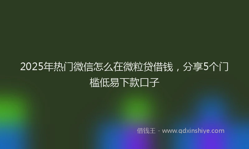2025年热门微信怎么在微粒贷借钱，分享5个门槛低易下款口子