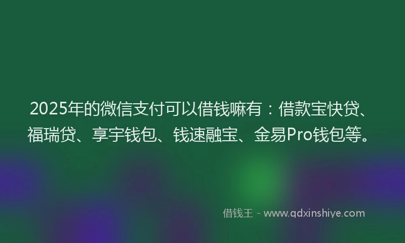 2025年的微信支付可以借钱嘛有：借款宝快贷、福瑞贷、享宇钱包、钱速融宝、金易Pro钱包等。