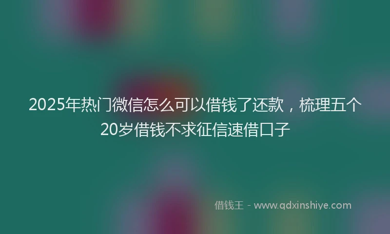 2025年热门微信怎么可以借钱了还款，梳理五个20岁借钱不求征信速借口子