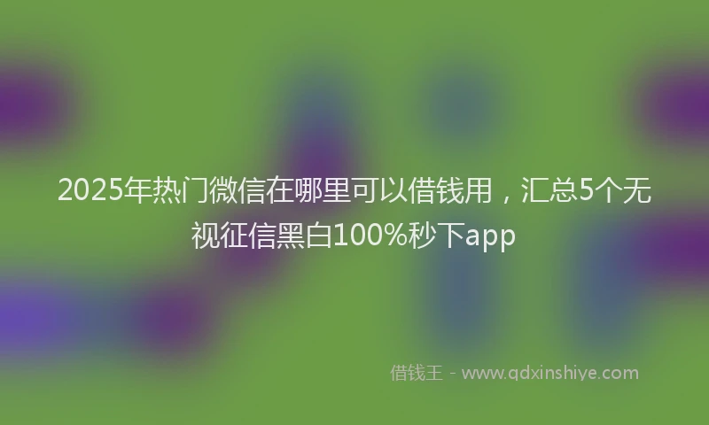 2025年热门微信在哪里可以借钱用，汇总5个无视征信黑白100%秒下app