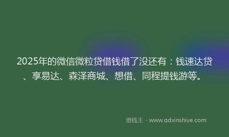 2025年的微信微粒贷借钱借了没还有：钱速达贷、享易达、森泽商城、想借、同程提钱游等。