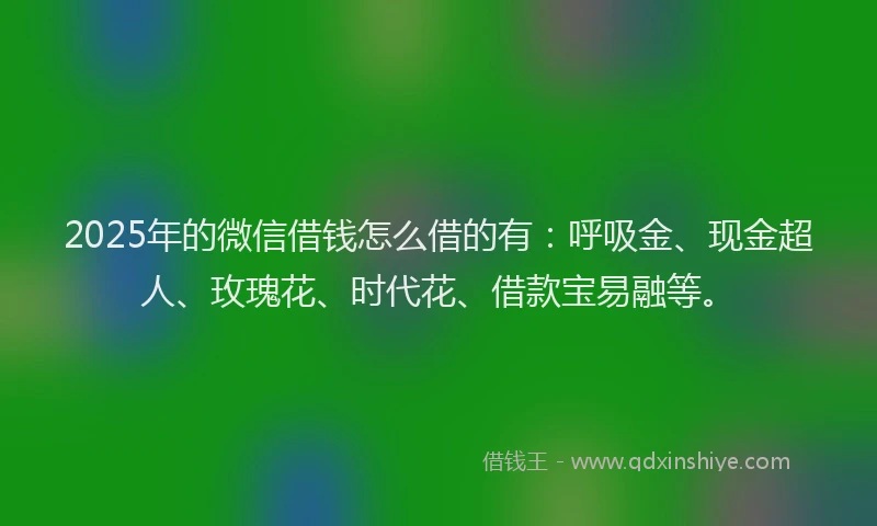 2025年的微信借钱怎么借的有：呼吸金、现金超人、玫瑰花、时代花、借款宝易融等。