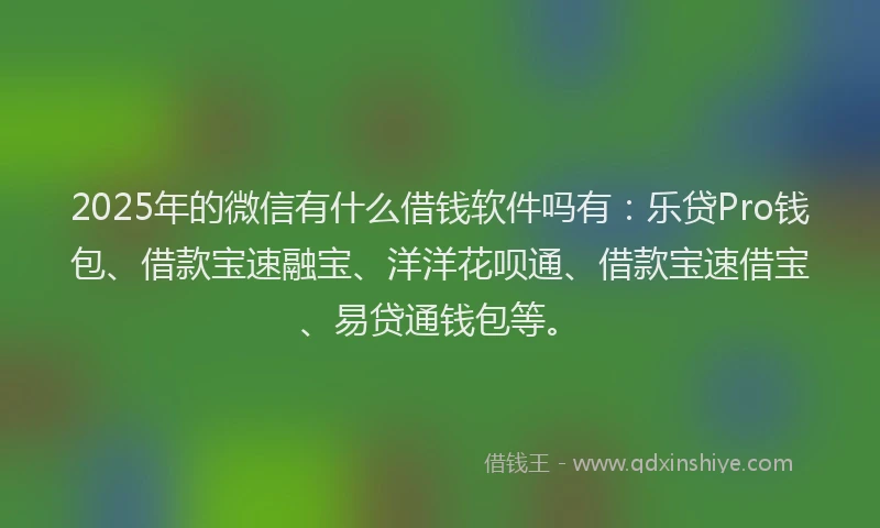 2025年的微信有什么借钱软件吗有：乐贷Pro钱包、借款宝速融宝、洋洋花呗通、借款宝速借宝、易贷通钱包等。