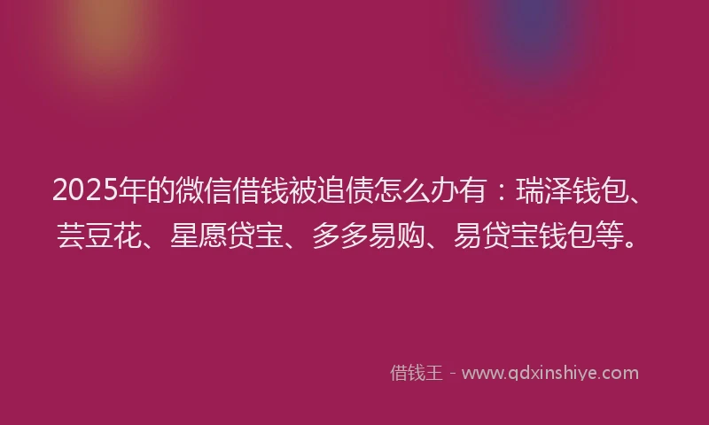 2025年的微信借钱被追债怎么办有：瑞泽钱包、芸豆花、星愿贷宝、多多易购、易贷宝钱包等。