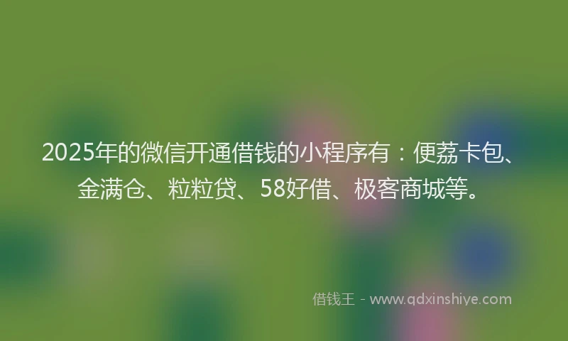 2025年的微信开通借钱的小程序有：便荔卡包、金满仓、粒粒贷、58好借、极客商城等。