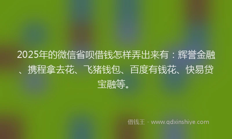 2025年的微信省呗借钱怎样弄出来有：辉誉金融、携程拿去花、飞猪钱包、百度有钱花、快易贷宝融等。