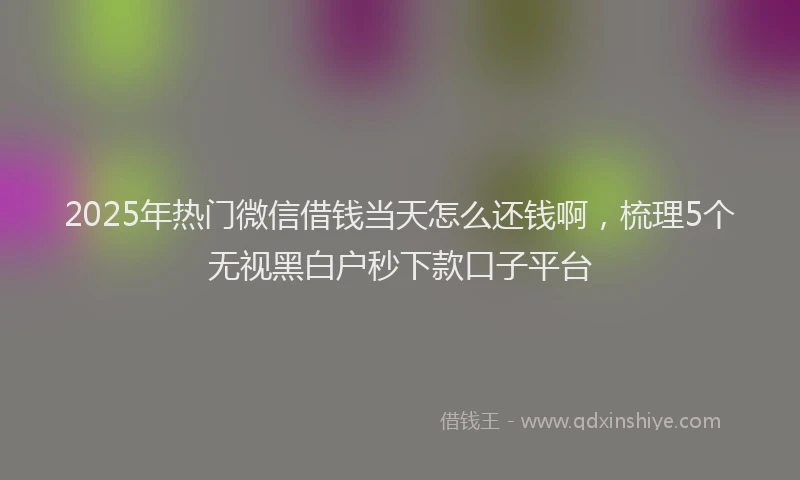 2025年热门微信借钱当天怎么还钱啊，梳理5个无视黑白户秒下款口子平台