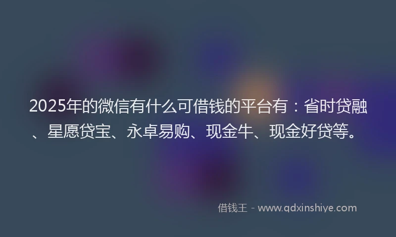 2025年的微信有什么可借钱的平台有：省时贷融、星愿贷宝、永卓易购、现金牛、现金好贷等。
