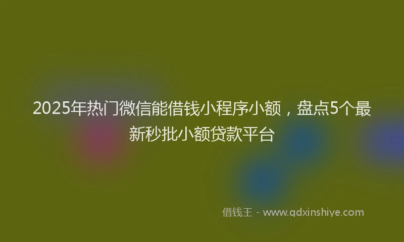 2025年热门微信能借钱小程序小额，盘点5个最新秒批小额贷款平台