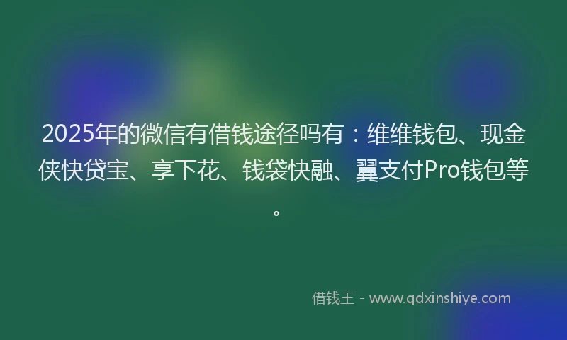 2025年的微信有借钱途径吗有：维维钱包、现金侠快贷宝、享下花、钱袋快融、翼支付Pro钱包等。