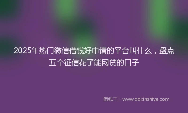2025年热门微信借钱好申请的平台叫什么，盘点五个征信花了能网贷的口子