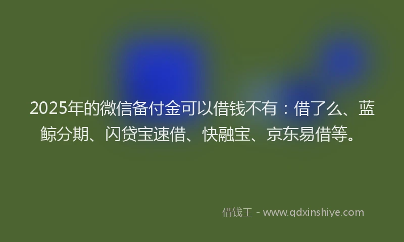 2025年的微信备付金可以借钱不有：借了么、蓝鲸分期、闪贷宝速借、快融宝、京东易借等。