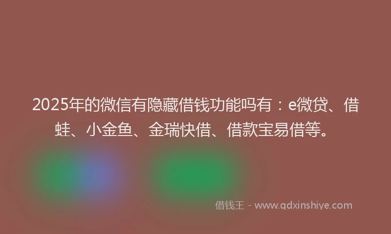 2025年的微信有隐藏借钱功能吗有：e微贷、借蛙、小金鱼、金瑞快借、借款宝易借等。