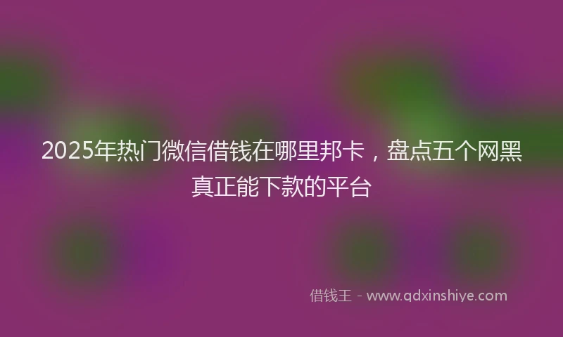 2025年热门微信借钱在哪里邦卡，盘点五个网黑真正能下款的平台