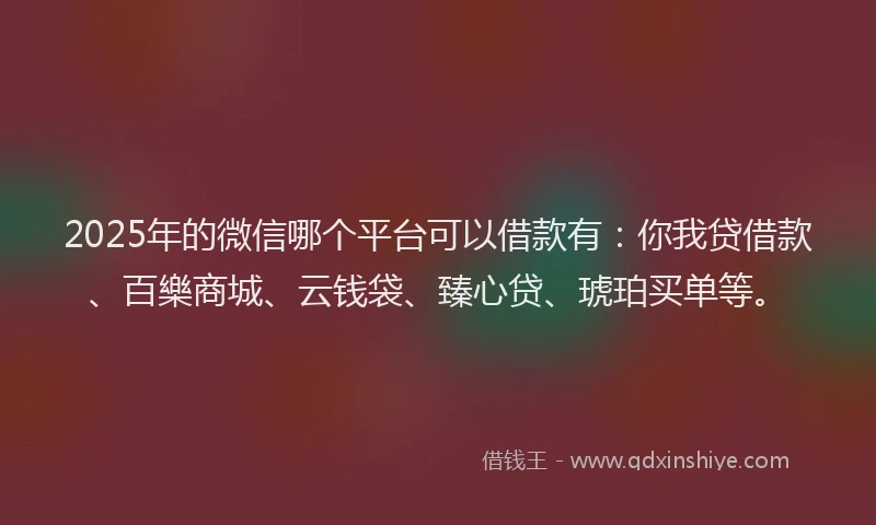 2025年的微信哪个平台可以借款有：你我贷借款、百樂商城、云钱袋、臻心贷、琥珀买单等。