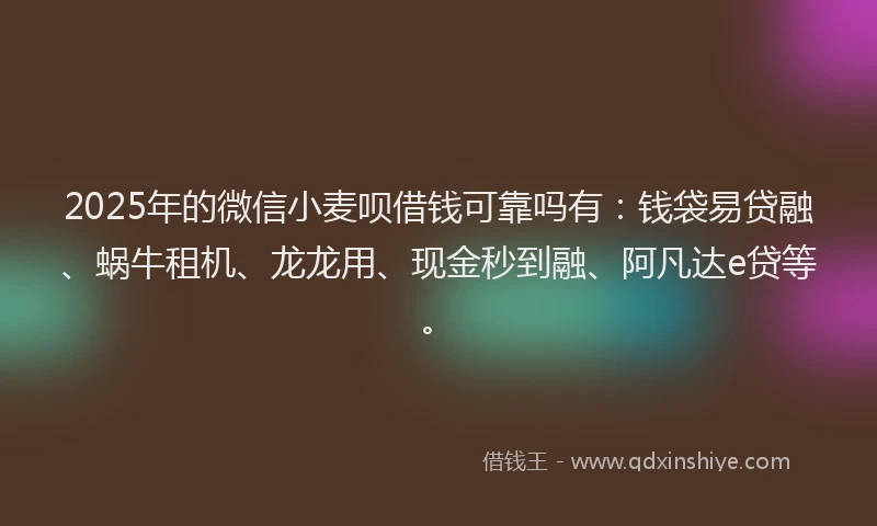 2025年的微信小麦呗借钱可靠吗有：钱袋易贷融、蜗牛租机、龙龙用、现金秒到融、阿凡达e贷等。