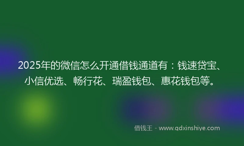 2025年的微信怎么开通借钱通道有：钱速贷宝、小信优选、畅行花、瑞盈钱包、惠花钱包等。