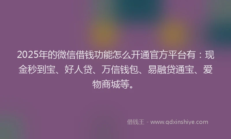 2025年的微信借钱功能怎么开通官方平台有：现金秒到宝、好人贷、万信钱包、易融贷通宝、爱物商城等。