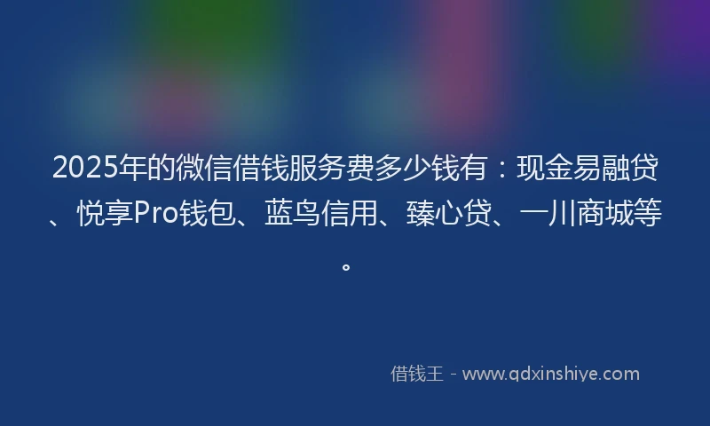 2025年的微信借钱服务费多少钱有：现金易融贷、悦享Pro钱包、蓝鸟信用、臻心贷、一川商城等。