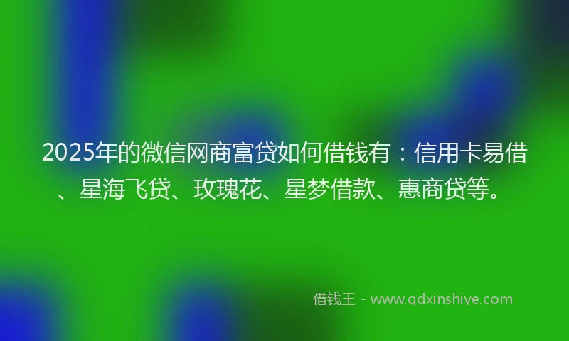2025年的微信网商富贷如何借钱有：信用卡易借、星海飞贷、玫瑰花、星梦借款、惠商贷等。