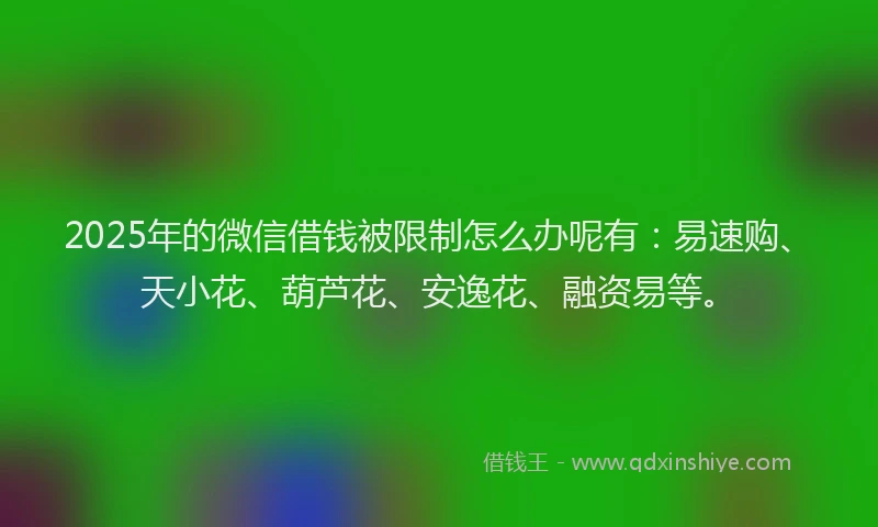 2025年的微信借钱被限制怎么办呢有：易速购、天小花、葫芦花、安逸花、融资易等。
