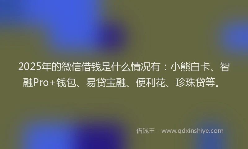 2025年的微信借钱是什么情况有：小熊白卡、智融Pro+钱包、易贷宝融、便利花、珍珠贷等。
