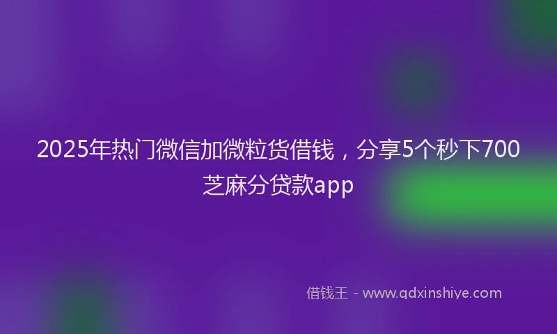 2025年热门微信加微粒货借钱，分享5个秒下700芝麻分贷款app