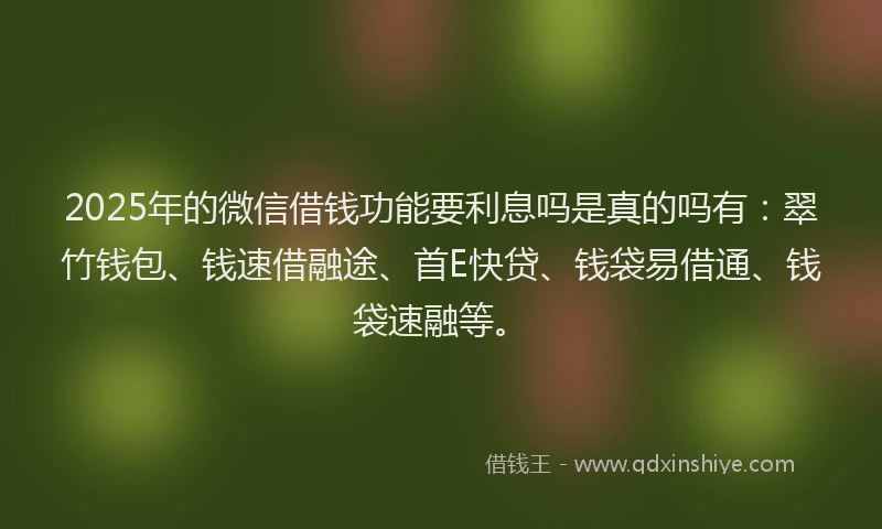 2025年的微信借钱功能要利息吗是真的吗有：翠竹钱包、钱速借融途、首E快贷、钱袋易借通、钱袋速融等。